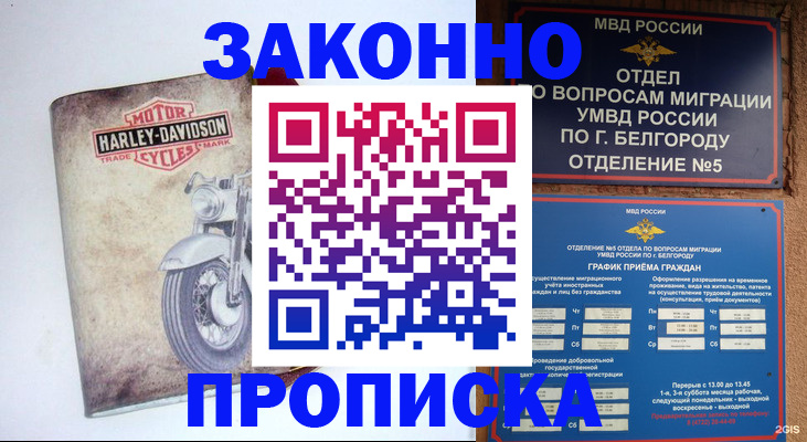 прописка для школы в Пущино